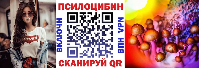ссылка на мегу ONION  Кизляр  Псилоцибиновые грибы ЛСД 
